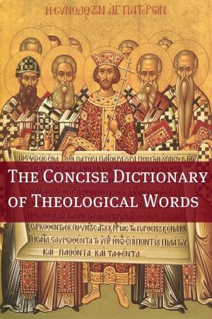 Cover of the book The Concise Theological Dictionary by Jonathan Swift