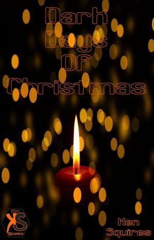 Book cover of Dark Days Of Christmas