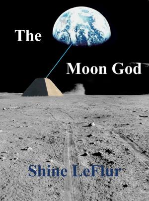 Book cover of The Moon God
