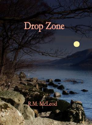 Book cover of Drop Zone