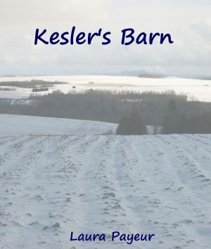 bigCover of the book Kesler's Barn by 