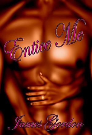 Cover of the book Entice Me by Mangus Fitzpatrick