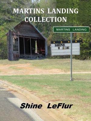 Cover of the book Martins Landing Collection by Llandric Moon