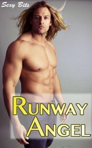 Cover of Erotica: Runway Angel