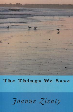 Cover of the book The Things We Save by C. A. Salo