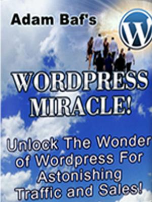 Cover of WordPress Miracle