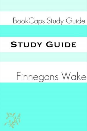 Cover of the book Study Guide: Finnegan’s Wake (A BookCaps Study Guide) by KidLit-O