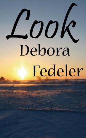 Cover of the book Look by Susanna  C. Mahoney