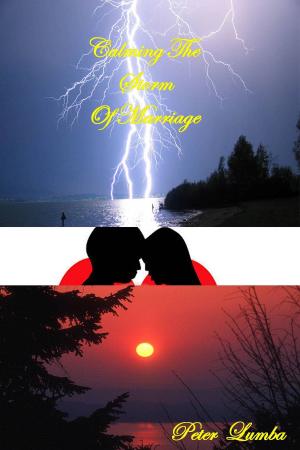 bigCover of the book Calming The Storm Of Marriage by 
