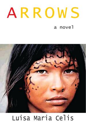 Cover of the book Arrows by Doris Riedweg