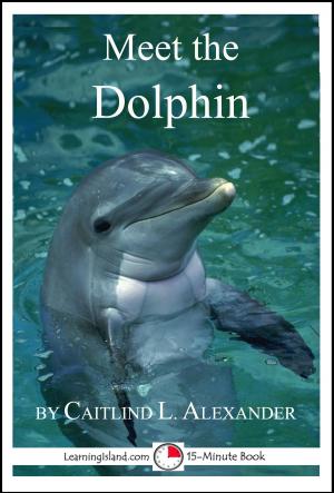 Cover of Meet the Dolphin: A 15-Minute Book
