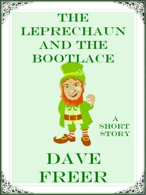 Book cover of The Leprechaun and the Bootlace