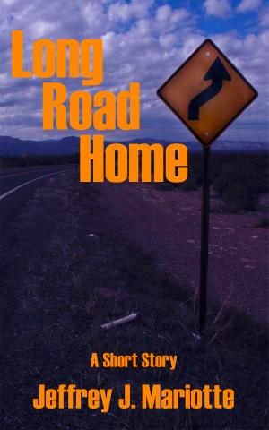Cover of the book Long Road Home by Julien Boyer