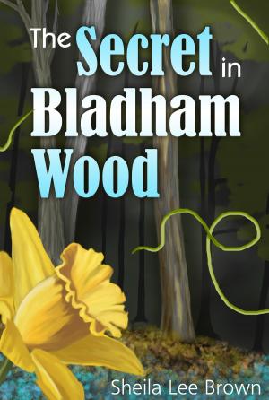 Book cover of The Secret in Bladham Wood