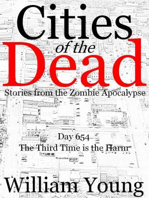 Book cover of The Third Time is the Harm (Cities of the Dead)