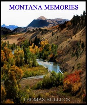Cover of the book Montana Memories by Ethan E. Harris