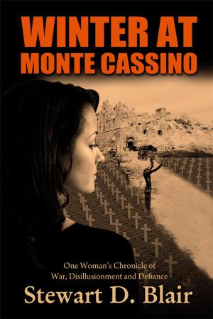 Book cover of Winter at Monte Cassino