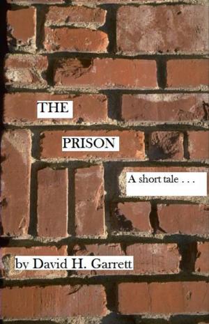 Cover of The Prison