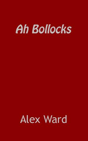 Cover of Ah Bollocks