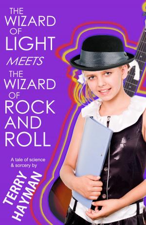 Cover of the book The Wizard of Light Meets the Wizard of Rock and Roll by Christopher Howard Lincoln
