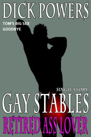 Book cover of Retired Ass Lover (Gay Stables #12)