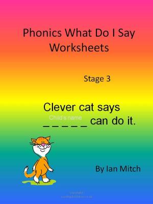 Cover of the book Phonics What Do I Say Worksheets by Ian Mitch