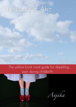 Cover of The Land of Ahz: The Yellow Brick Road Guide for Dispelling Pain During Childbirth