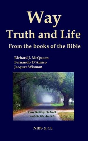 Cover of the book Way, Truth and Life: From the books of the Bible by Richard J. McQueen