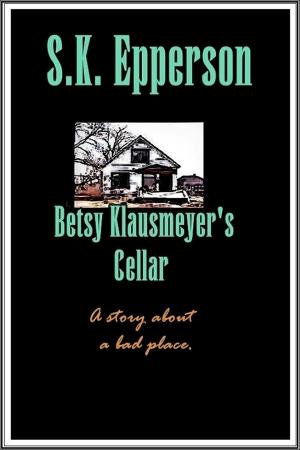 Book cover of Betsy Klausmeyer's Cellar