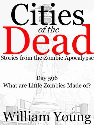 Book cover of What are Little Zombies Made of? (Cities of the Dead)
