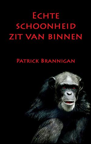 Cover of the book Echte schoonheid zit van binnen by Patrick Brannigan