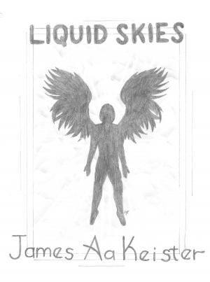 Cover of the book Liquid skies by James Aa. Keister