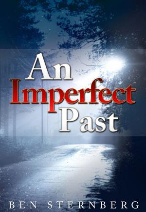 Cover of the book An Imperfect Past by Wesley Hesketh