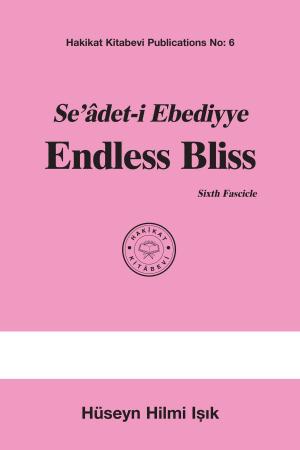 Cover of the book Seâdet-i Ebediyye Endless Bliss Sixth Fascicle by M. Sıddık Gümüş
