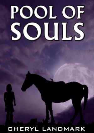 Cover of Pool of Souls