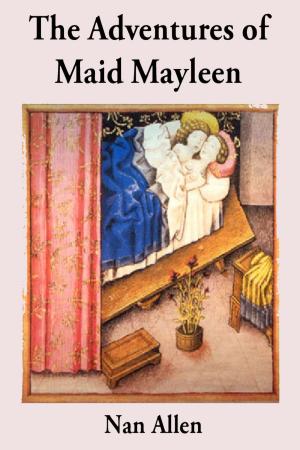 Book cover of The Adventures of Maid Mayleen