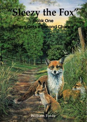 Book cover of Sleezy the Fox: Story One - Sleezy Gets a Second Chance