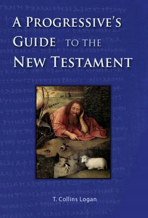 Book cover of A Progressive's Guide to the New Testament