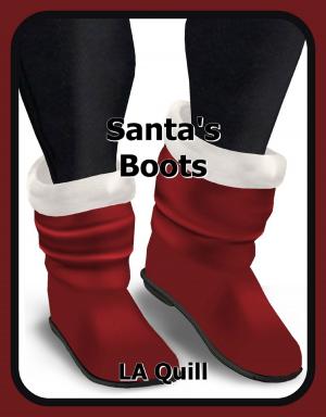 Book cover of Santa's Boots