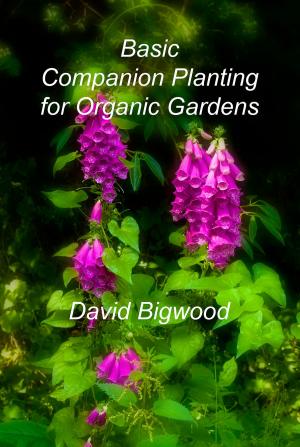 Cover of the book Basic Companion Planting for Organic Gardens by David Bigwood
