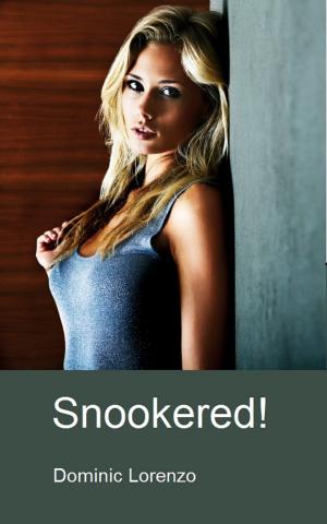 Cover of Snookered!