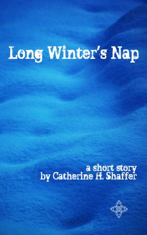 Book cover of Long Winter's Nap
