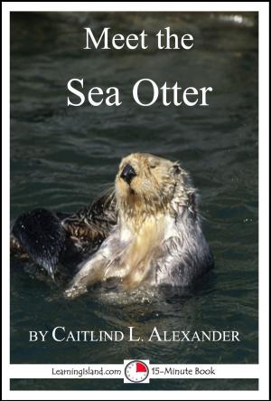 Cover of the book Meet the Sea Otter: A 15-Minute Book by Judith Janda Presnall