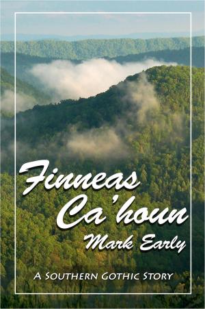 Book cover of Finneas Ca'houn