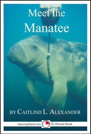 Book cover of Meet the Manatee: A 15-Minute Book