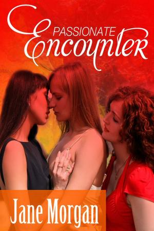 Cover of the book Passionate Encounter by Jessica Kat