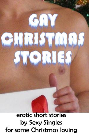 bigCover of the book Gay Christmas Stories by 