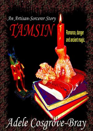 Cover of the book Tamsin: An Artisan-Sorcerer Story by J. Leigh Bralick