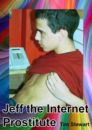 Cover of the book Jeff The Internet Prostitute by Tinnean