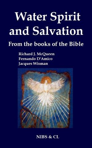 Cover of the book Water, Spirit and Salvation: From the books of the Bible by Richard J. McQueen